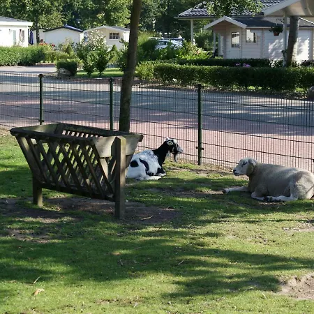 بيت للعطل Holiday Droompark Molengroet.45 Sint Pancras